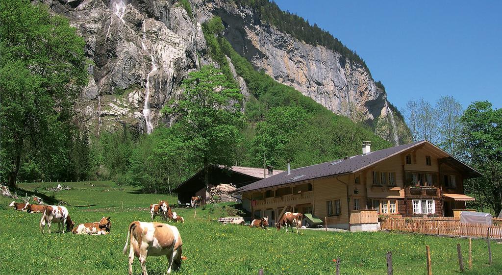 Camping Jungfrau Lauterbrunnen Dış mekan fotoğraf